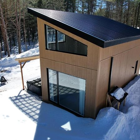 Vallee Bras Du Nord Jumeau #1 Avec Spa Saint-Raymond Exterior foto